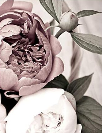 Scandinavian Serenity Pink Botanical Canvas